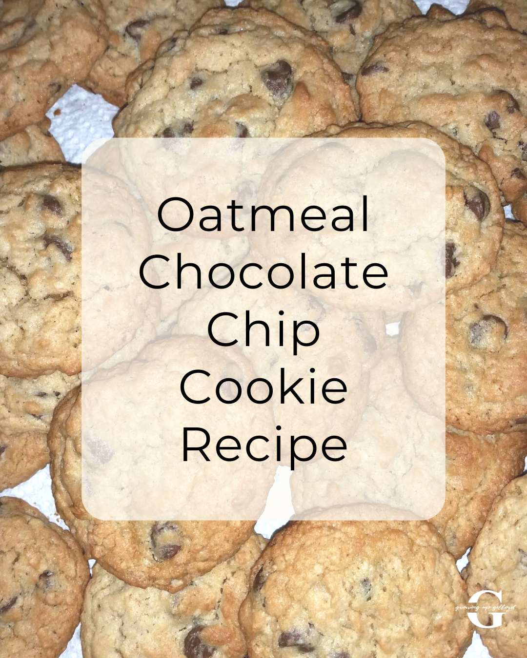 Oatmeal chocolate chip cookie recipe